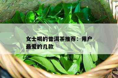 女士喝的普洱茶推荐：用户更爱的几款