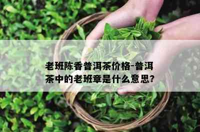 老班陈香普洱茶价格-普洱茶中的老班章是什么意思?