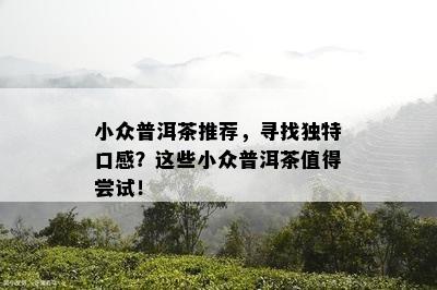 小众普洱茶推荐，寻找特别口感？这些小众普洱茶值得尝试！