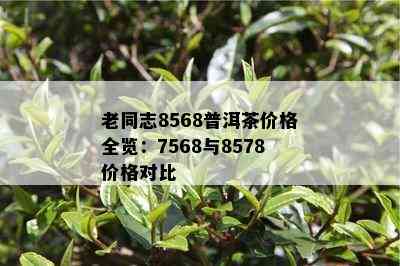 老同志8568普洱茶价格全览：7568与8578价格对比