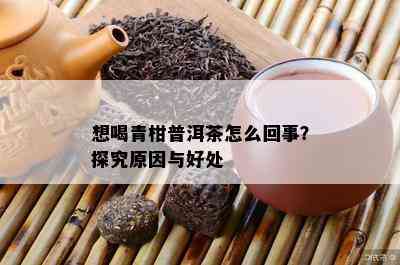 想喝青柑普洱茶怎么回事？探究起因与好处