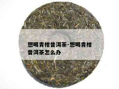 想喝青柑普洱茶-想喝青柑普洱茶怎么办