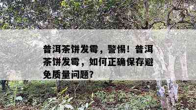 普洱茶饼发霉，警惕！普洱茶饼发霉，怎样正保证存避免品质疑问？