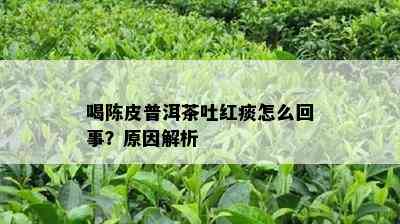 喝陈皮普洱茶吐红痰怎么回事？起因解析