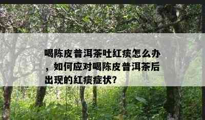 喝陈皮普洱茶吐红痰怎么办，怎样应对喝陈皮普洱茶后出现的红痰症状？