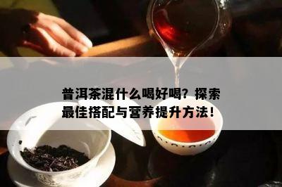 普洱茶混什么喝好喝？探索更佳搭配与营养提升方法！