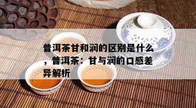 普洱茶甘和润的区别是什么，普洱茶：甘与润的口感差异解析