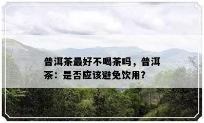 普洱茶更好不喝茶吗，普洱茶：是否应该避免饮用？