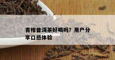 青柑普洱茶好喝吗？客户分享口感体验