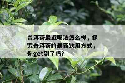 普洱茶最近喝法怎么样，探究普洱茶的最新饮用方法，你get到了吗？