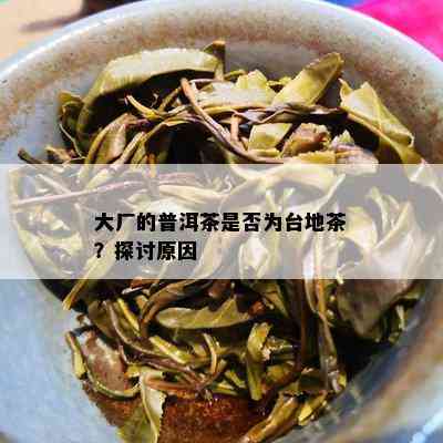 大厂的普洱茶是不是为台地茶？探讨起因