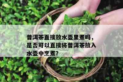 普洱茶直接放水壶里煮吗，是不是可以直接将普洱茶放入水壶中烹煮？