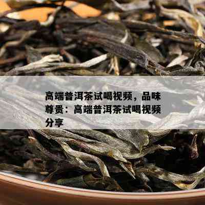 高端普洱茶试喝视频，品味尊贵：高端普洱茶试喝视频分享