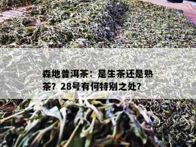 森地普洱茶：是生茶还是熟茶？28号有何特别之处？