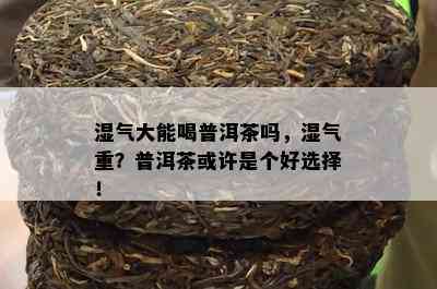 湿气大能喝普洱茶吗，湿气重？普洱茶或许是个好选择！