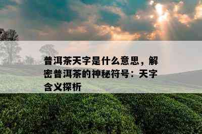 普洱茶天字是什么意思，解密普洱茶的神秘符号：天字含义探析