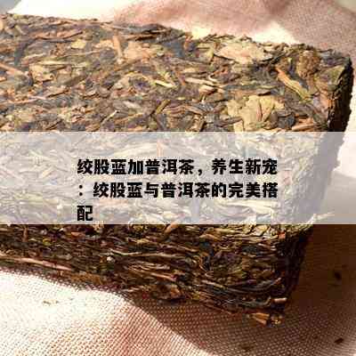 绞股蓝加普洱茶，养生新宠：绞股蓝与普洱茶的完美搭配