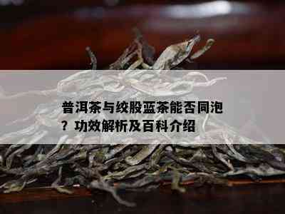 普洱茶与绞股蓝茶能否同泡？功效解析及百科介绍