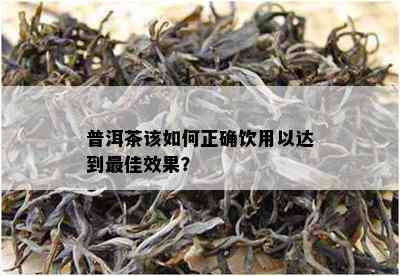 普洱茶该怎样正确饮用以达到更佳效果？