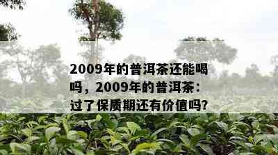 2009年的普洱茶还能喝吗，2009年的普洱茶：过了保质期还有价值吗？