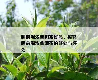 睡前喝浓普洱茶好吗，探究睡前喝浓普洱茶的好处与坏处