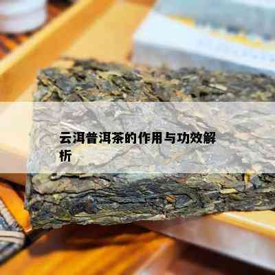 云洱普洱茶的作用与功效解析