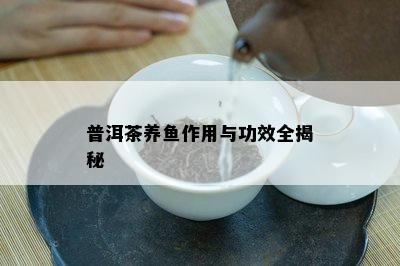 普洱茶养作用与功效全揭秘