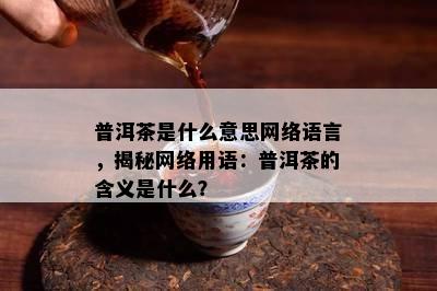 普洱茶是什么意思网络语言，揭秘网络用语：普洱茶的含义是什么？