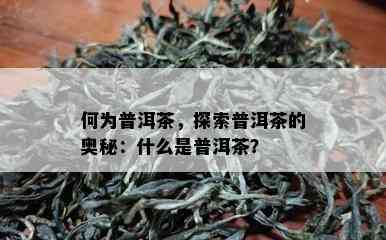 何为普洱茶，探索普洱茶的奥秘：什么是普洱茶？