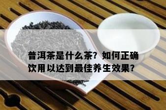 普洱茶是什么茶？怎样正确饮用以达到更佳养生效果？