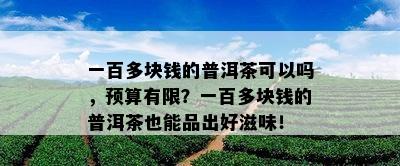 一百多块钱的普洱茶可以吗，预算有限？一百多块钱的普洱茶也能品出好滋味！