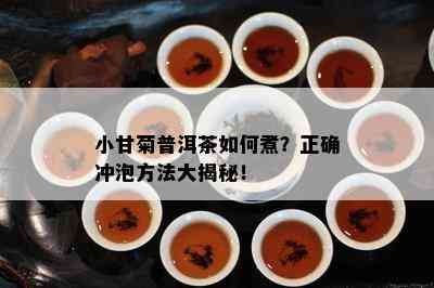 小甘菊普洱茶怎样煮？正确冲泡方法大揭秘！