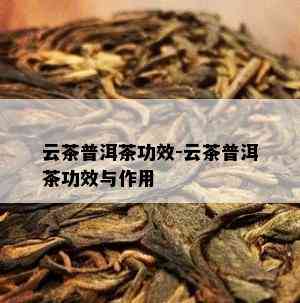 云茶普洱茶功效-云茶普洱茶功效与作用