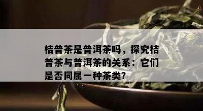 桔普茶是普洱茶吗，探究桔普茶与普洱茶的关系：它们是否同属一种茶类？