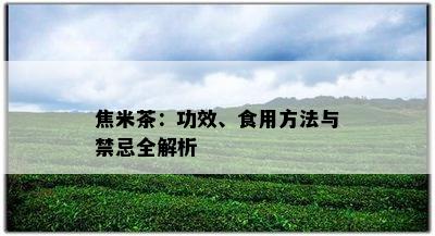 焦米茶：功效、食用方法与禁忌全解析