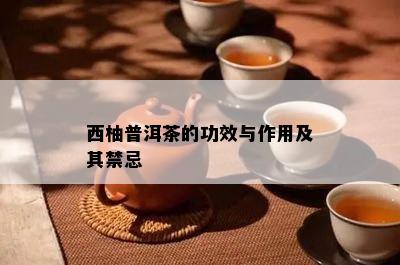 西柚普洱茶的功效与作用及其禁忌