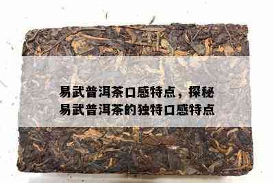 易武普洱茶口感特点，探秘易武普洱茶的特别口感特点