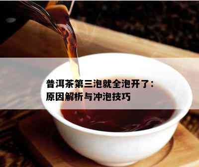 普洱茶第三泡就全泡开了：原因解析与冲泡技巧