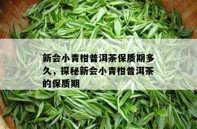 新会小青柑普洱茶保质期多久，探秘新会小青柑普洱茶的保质期