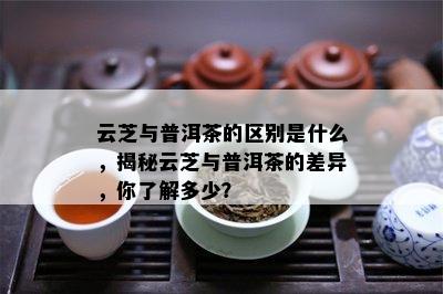 云芝与普洱茶的区别是什么，揭秘云芝与普洱茶的差异，你熟悉多少？