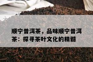 顺宁普洱茶，品味顺宁普洱茶：探寻茶叶文化的精髓