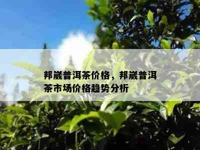 邦崴普洱茶价格，邦崴普洱茶市场价格趋势分析