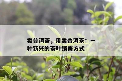 卖普洱茶，用卖普洱茶：一种新兴的茶叶销售方式