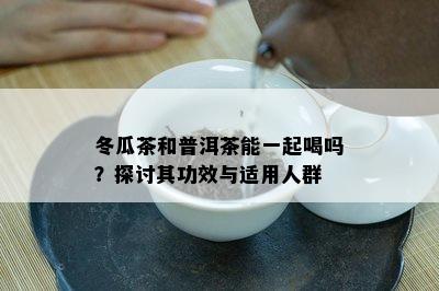 冬瓜茶和普洱茶能一起喝吗？探讨其功效与适用人群