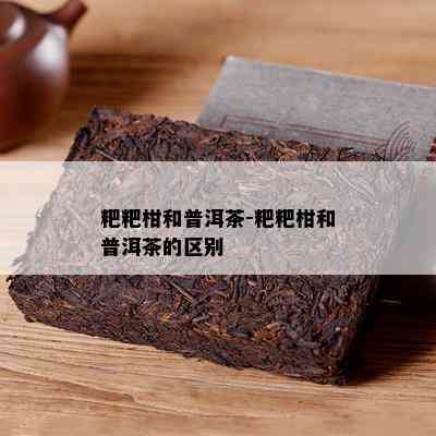 粑粑柑和普洱茶-粑粑柑和普洱茶的区别