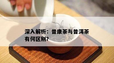 深入解析：普康茶与普洱茶有何区别？