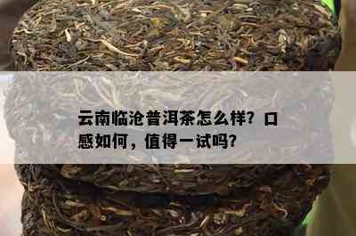 云南临沧普洱茶怎么样？口感怎样，值得一试吗？