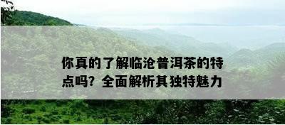 你真的熟悉临沧普洱茶的特点吗？全面解析其特别魅力