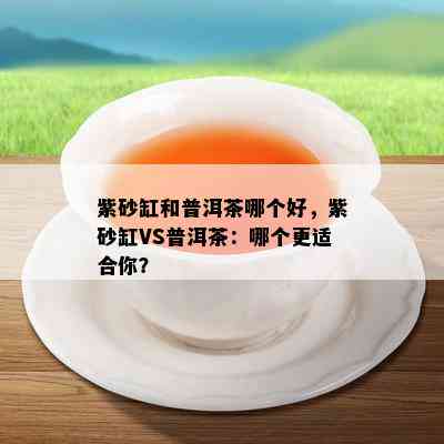 紫砂缸和普洱茶哪个好，紫砂缸VS普洱茶：哪个更适合你？