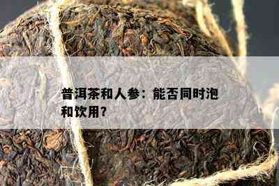 普洱茶和人参：能否同时泡和饮用？